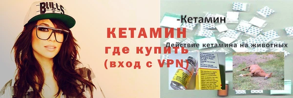 сатива Нефтекумск