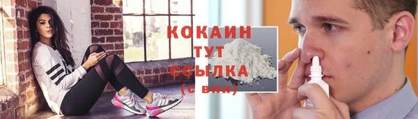 сатива Нефтекумск
