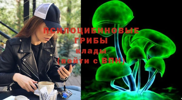 гидропоника Новозыбков