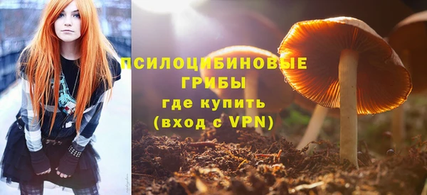 сатива Нефтекумск