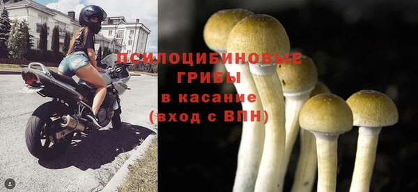 дурь Нефтегорск