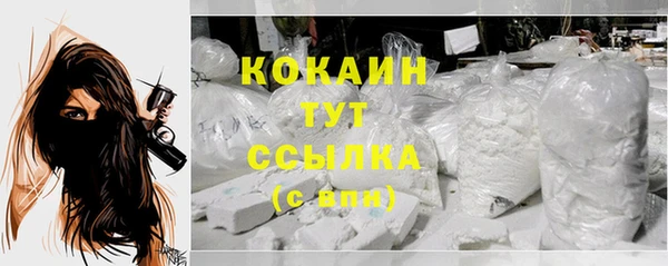 стафф Новодвинск