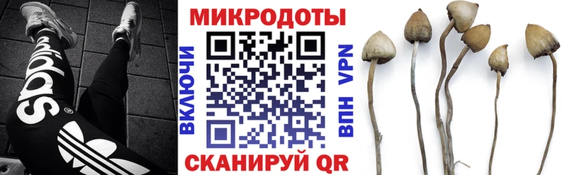 цены наркотик  MEGA рабочий сайт  Галлюциногенные грибы Magic Shrooms  Киренск 